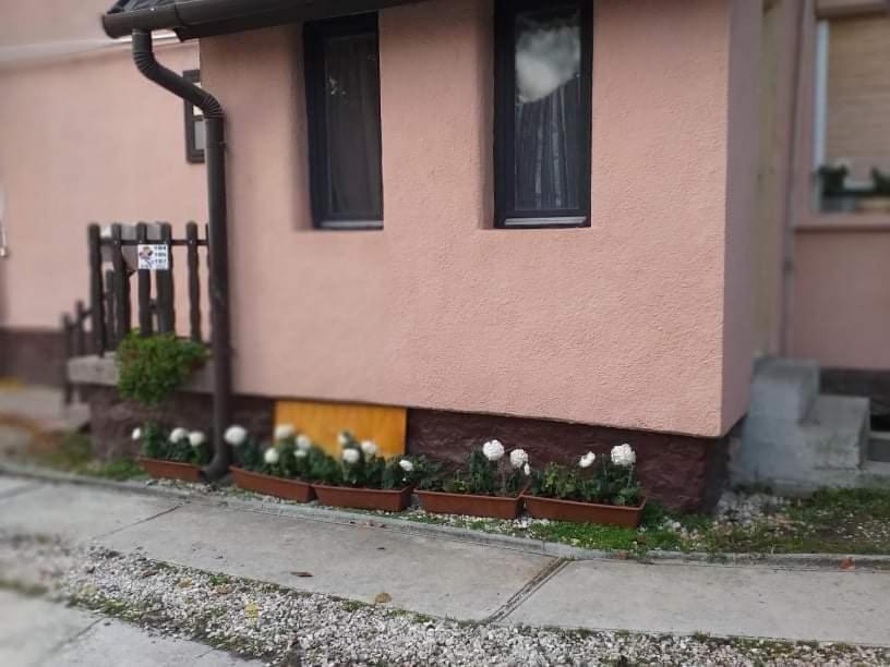 Malomtavi Vendeghaz Tapolca Hotel Exterior foto